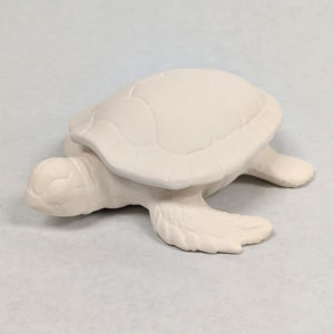 COFFRE-TORTUE