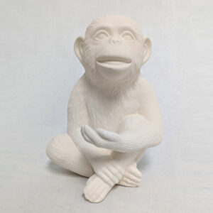 SINGE - 01