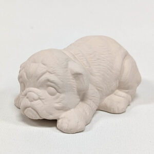 CHIEN-12