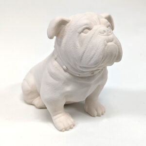 CHIEN-BULLDOG